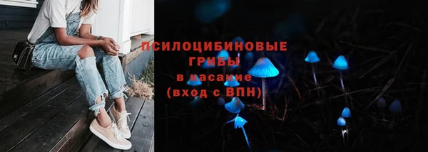 дурь Богданович