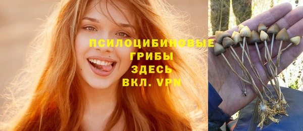 дурь Богданович