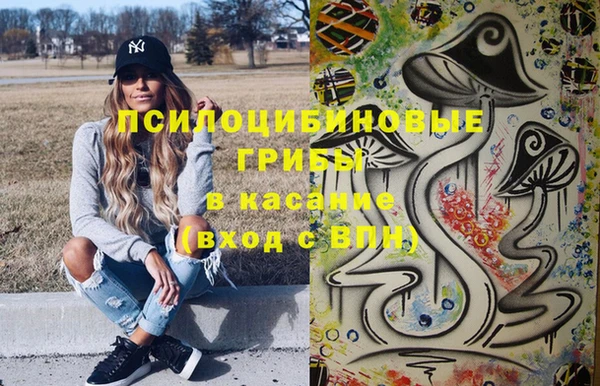 Альфа ПВП Богородск