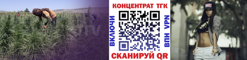 где купить наркоту  Ковров  ТГК гашишное масло 