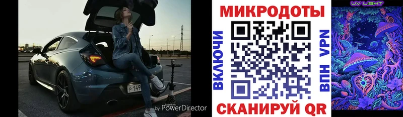 mega зеркало  Ковров  Галлюциногенные грибы Psilocybine cubensis 